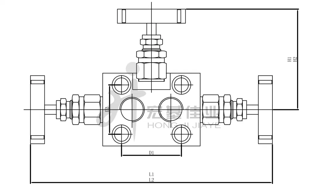 1/2"NPT Forging Stainless Steel 3-Valve Manifolds with Extended Tube