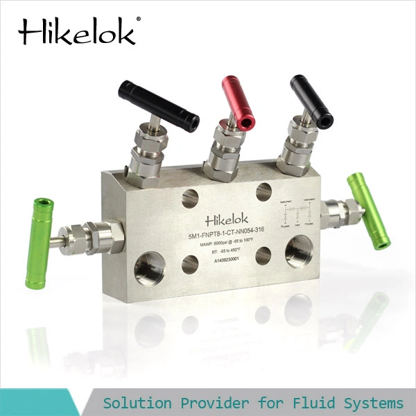 Hikelok Stainless Steel 6000 Psi 1/2 1/4 Fnpt 5- Valve Instrumentation Manifold